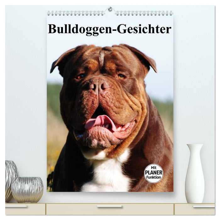Bulldoggen-Gesichter (CALVENDO Premium Wandkalender 2026)