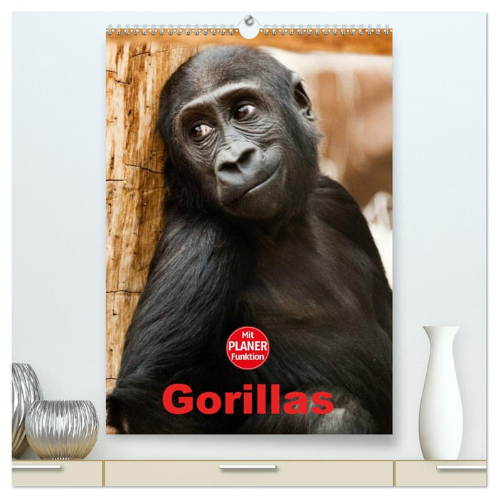 Gorillas (CALVENDO Premium Wandkalender 2026)