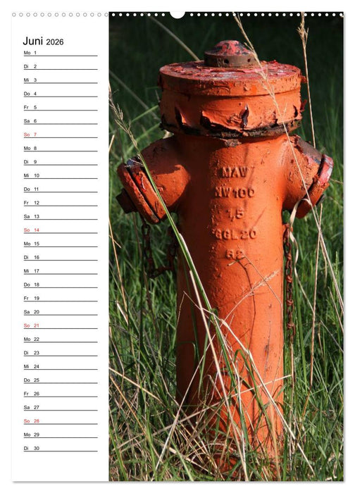Nostalgie Hydranten (CALVENDO Premium Wandkalender 2026)