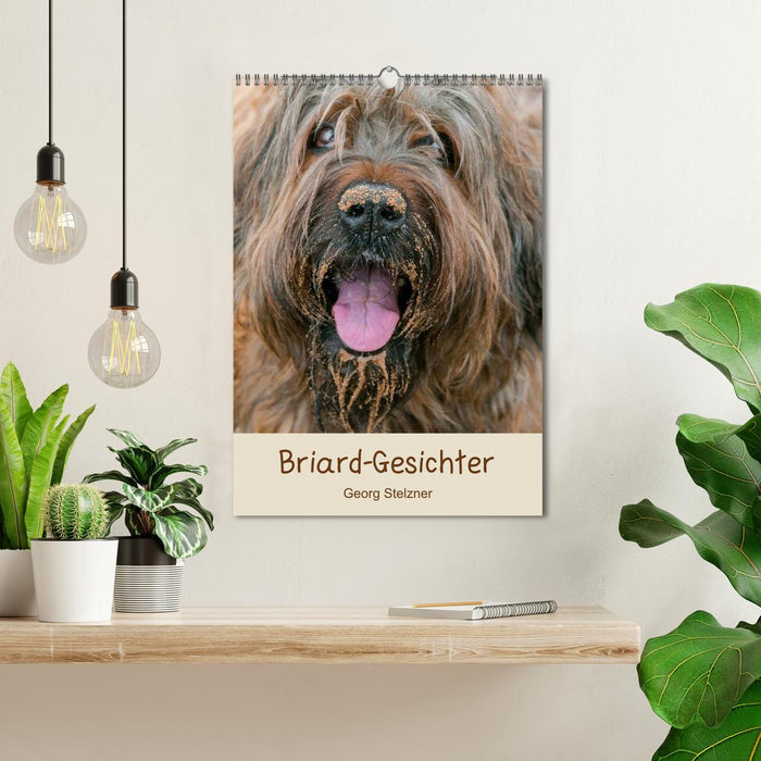 Briard-Gesichter (CALVENDO Wandkalender 2026)