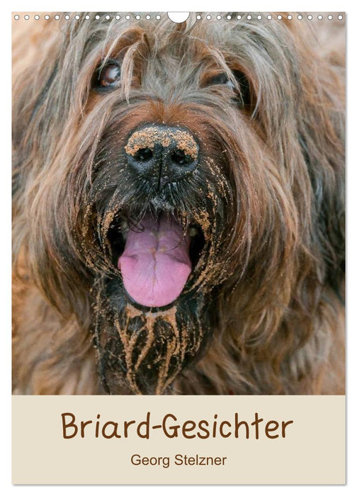 Briard-Gesichter (CALVENDO Wandkalender 2026)