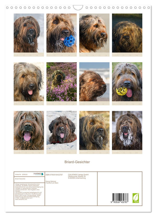 Briard-Gesichter (CALVENDO Wandkalender 2026)