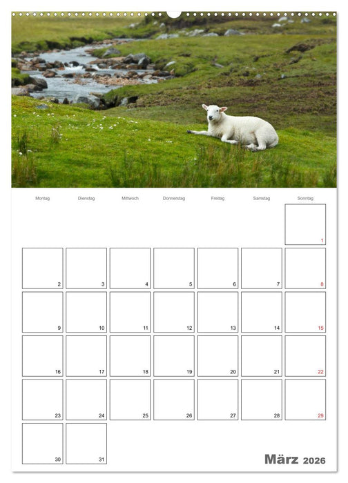 Schottland für Naturliebhaber (CALVENDO Premium Wandkalender 2026)