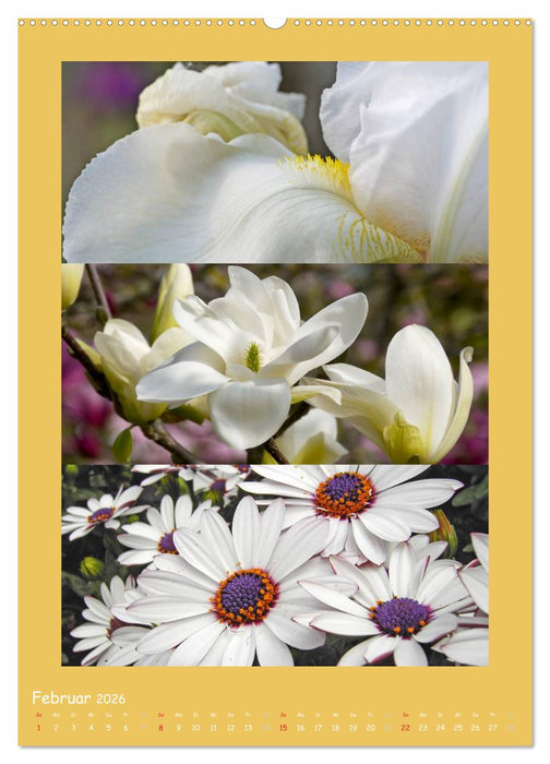 Natur im Farbenrausch (CALVENDO Premium Wandkalender 2026)