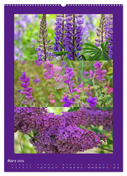 Natur im Farbenrausch (CALVENDO Premium Wandkalender 2026)