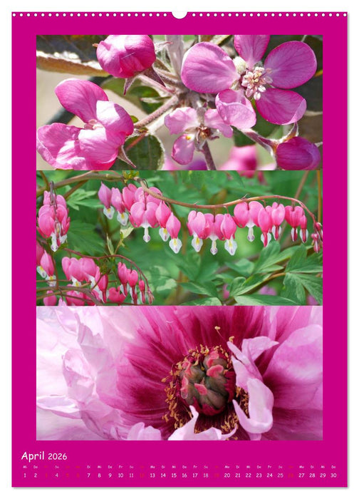 Natur im Farbenrausch (CALVENDO Premium Wandkalender 2026)