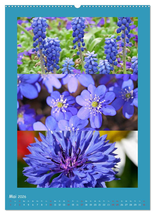 Natur im Farbenrausch (CALVENDO Premium Wandkalender 2026)