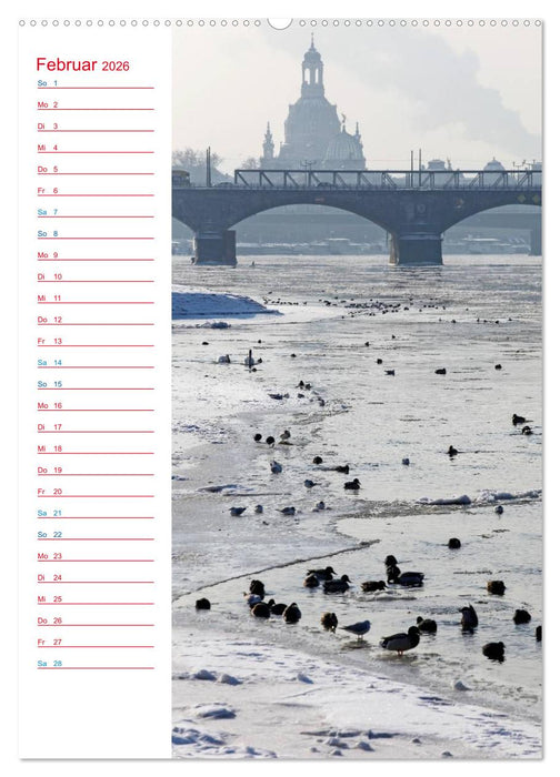 Frauenkirche Dresden (CALVENDO Premium Wandkalender 2026)