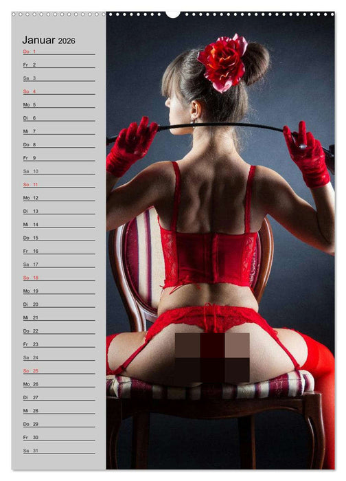 Erotik. Dessous-Träume (CALVENDO Premium Wandkalender 2026)