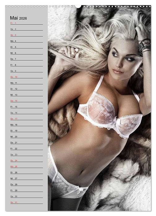 Erotik. Dessous-Träume (CALVENDO Premium Wandkalender 2026)