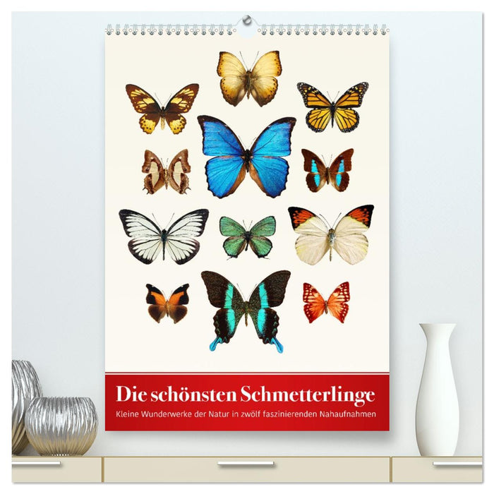 Die schönsten Schmetterlinge (CALVENDO Premium Wandkalender 2026)