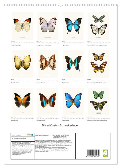 Die schönsten Schmetterlinge (CALVENDO Premium Wandkalender 2026)