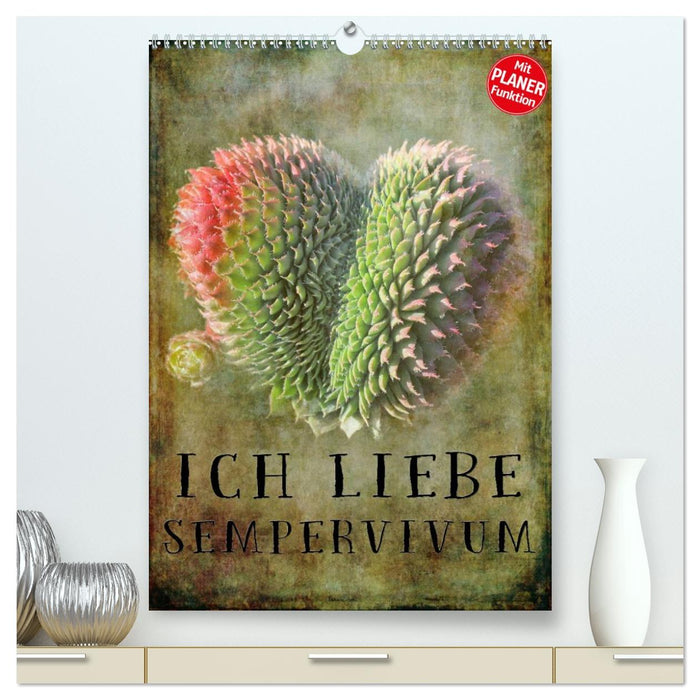 Ich liebe Sempervivum (CALVENDO Premium Wandkalender 2026)