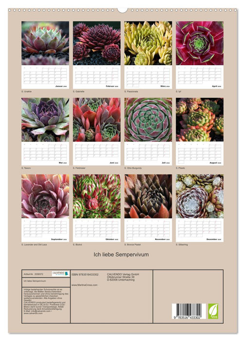 Ich liebe Sempervivum (CALVENDO Premium Wandkalender 2026)