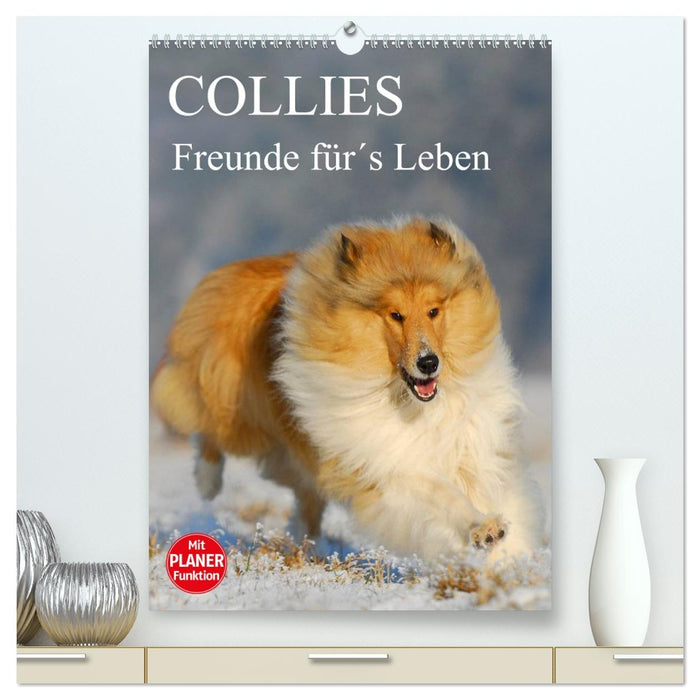 Collies - Freunde für´s Leben (CALVENDO Premium Wandkalender 2026)