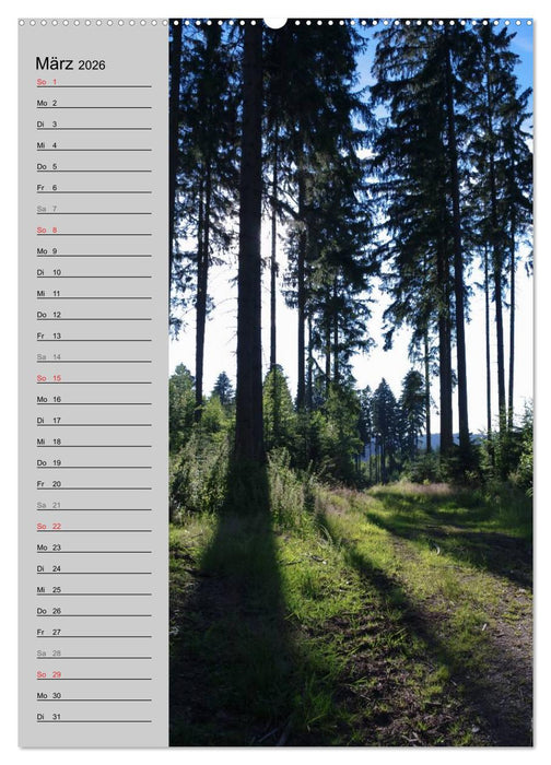 Traumhaftes Siegerland 2026 (CALVENDO Wandkalender 2026)