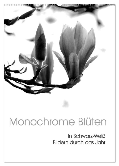Monochrome Blüten - In Schwarz-Weiß Bildern durch das Jahr (CALVENDO Wandkalender 2026)