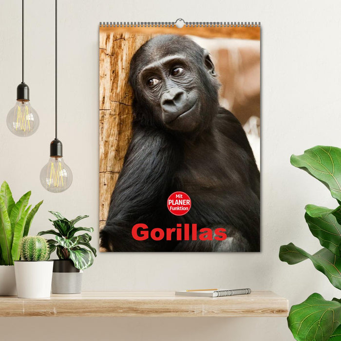 Gorillas (CALVENDO Wandkalender 2026)