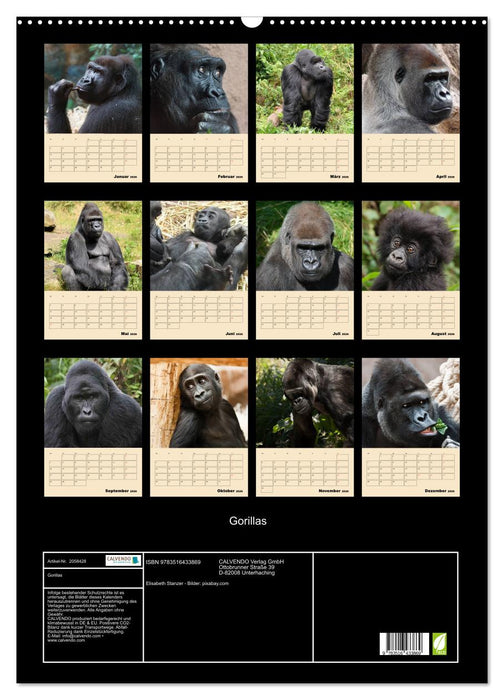 Gorillas (CALVENDO Wandkalender 2026)