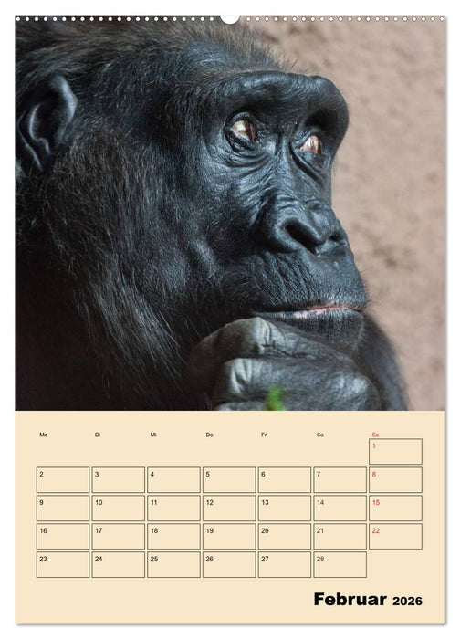 Gorillas (CALVENDO Wandkalender 2026)