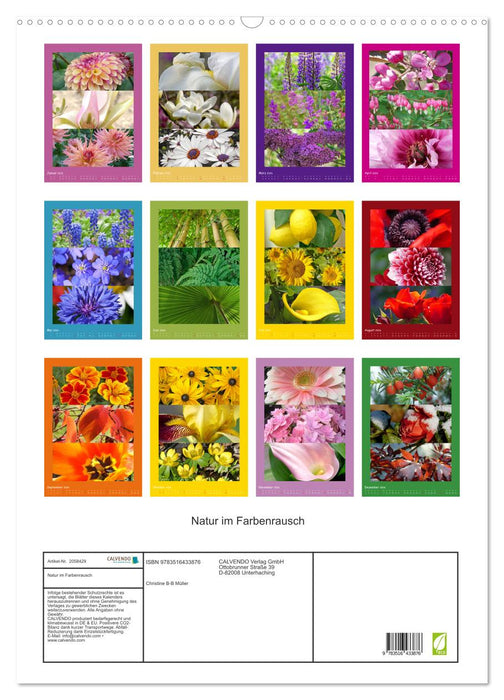 Natur im Farbenrausch (CALVENDO Wandkalender 2026)