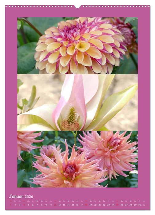 Natur im Farbenrausch (CALVENDO Wandkalender 2026)