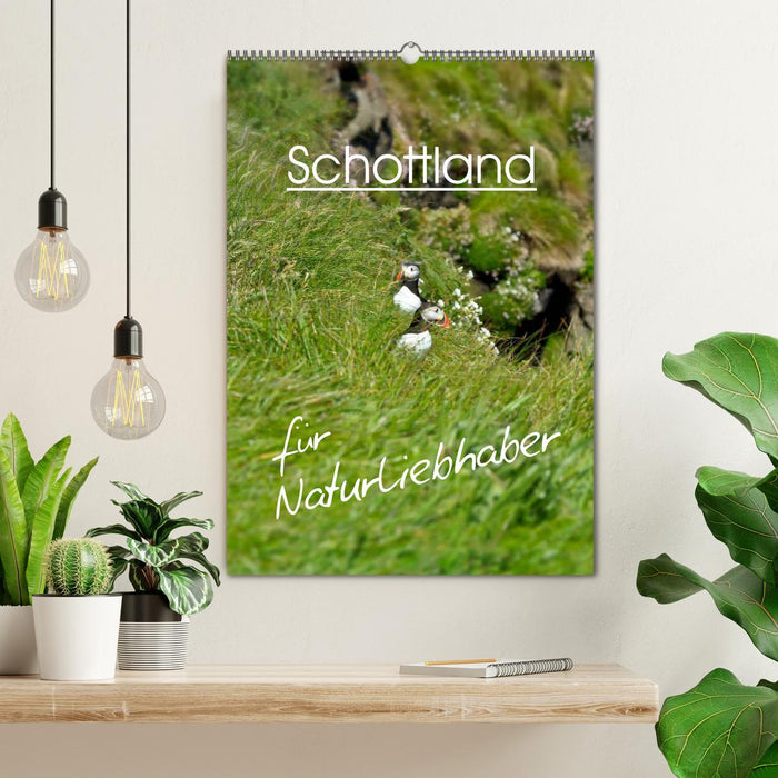 Schottland für Naturliebhaber (CALVENDO Wandkalender 2026)