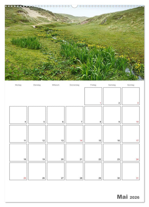 Schottland für Naturliebhaber (CALVENDO Wandkalender 2026)