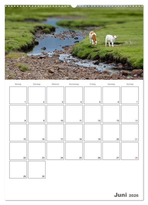 Schottland für Naturliebhaber (CALVENDO Wandkalender 2026)