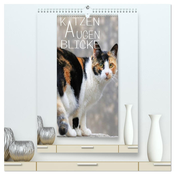 KATZEN AUGEN BLICKE (CALVENDO Premium Wandkalender 2026)