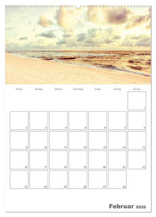 Strandbilder - Künstlerische Impressionen von der Nordsee (CALVENDO Premium Wandkalender 2026)