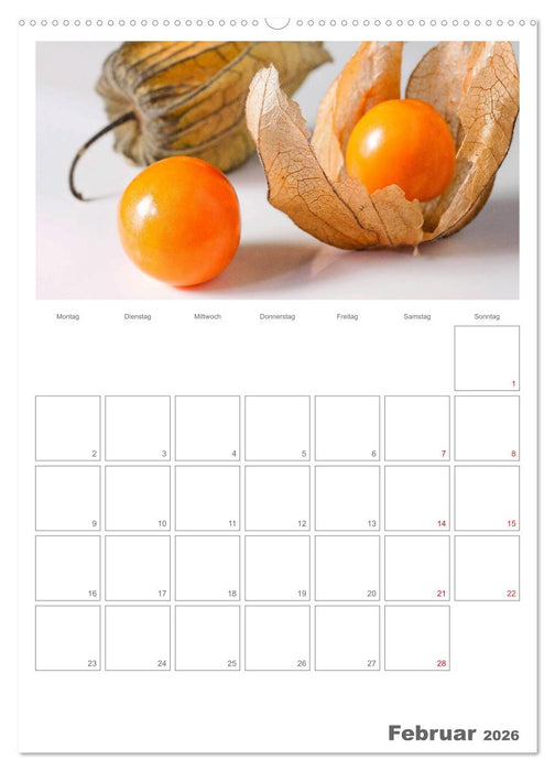 Kulinarische Kompositionen - Terminplaner (CALVENDO Premium Wandkalender 2026)