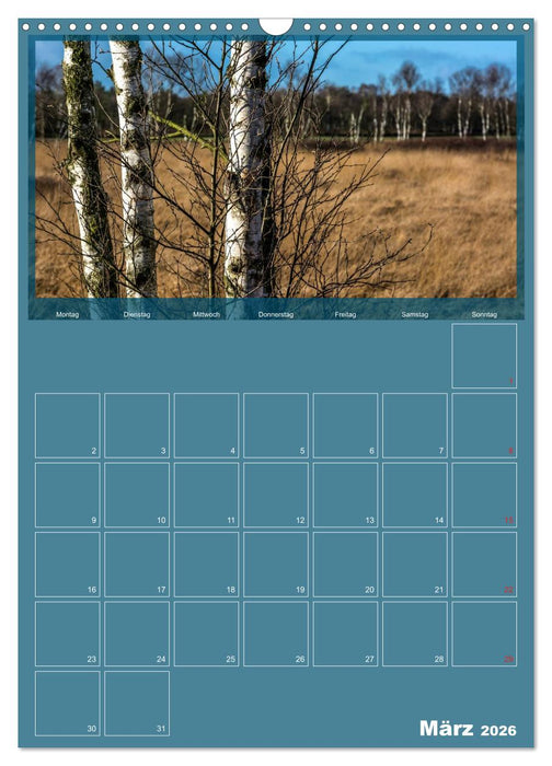 Worpswede - Künstlerdorf unter weitem Himmel (CALVENDO Wandkalender 2026)