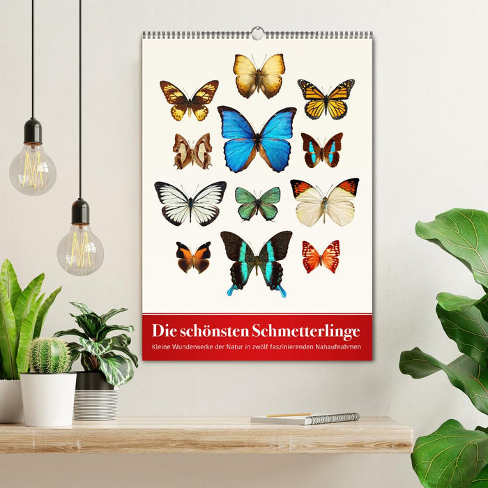 Die schönsten Schmetterlinge (CALVENDO Wandkalender 2026)