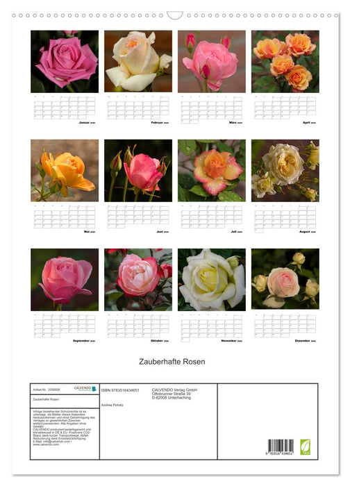 Zauberhafte Rosen (CALVENDO Wandkalender 2026)