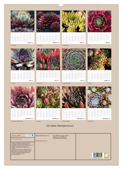 Ich liebe Sempervivum (CALVENDO Wandkalender 2026)