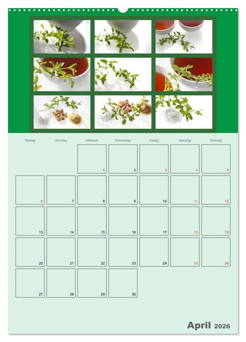 Food (CALVENDO Wandkalender 2026)