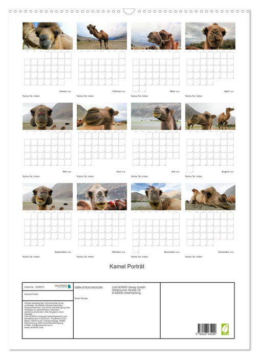 Kamel Porträt (CALVENDO Wandkalender 2026)