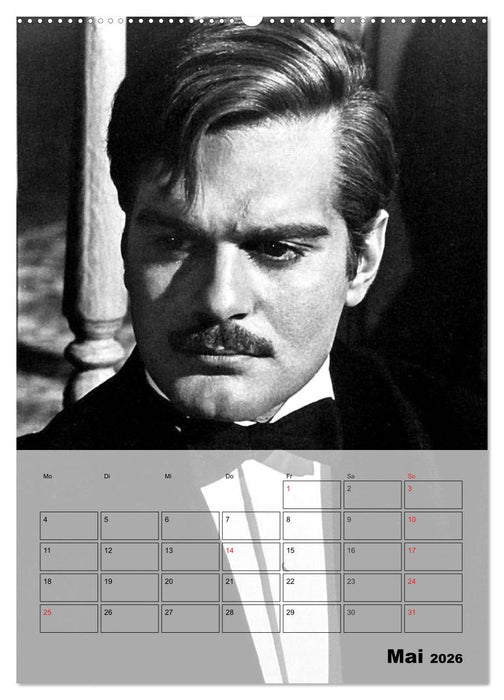 Filmstars - Legenden der goldenen Filmjahre (CALVENDO Premium Wandkalender 2026)