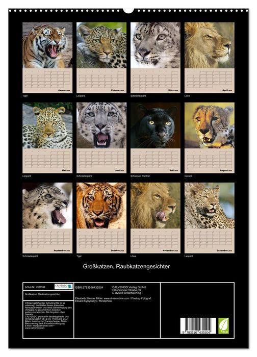Großkatzen. Raubkatzengesichter (CALVENDO Premium Wandkalender 2026)