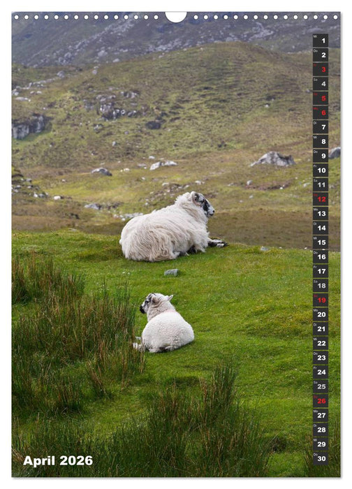 Schottlands vielfältiger Westen (CALVENDO Wandkalender 2026)