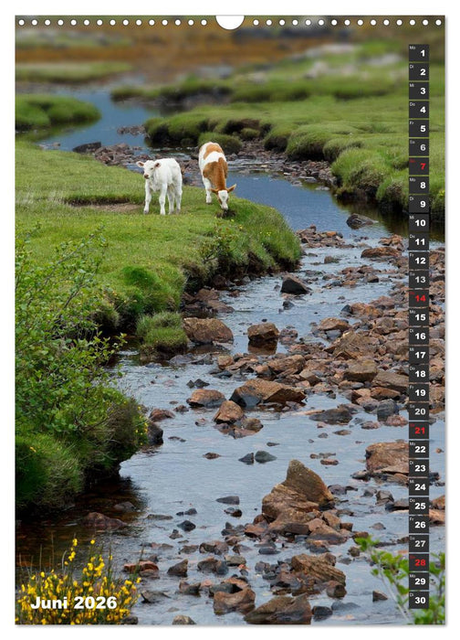 Schottlands vielfältiger Westen (CALVENDO Wandkalender 2026)