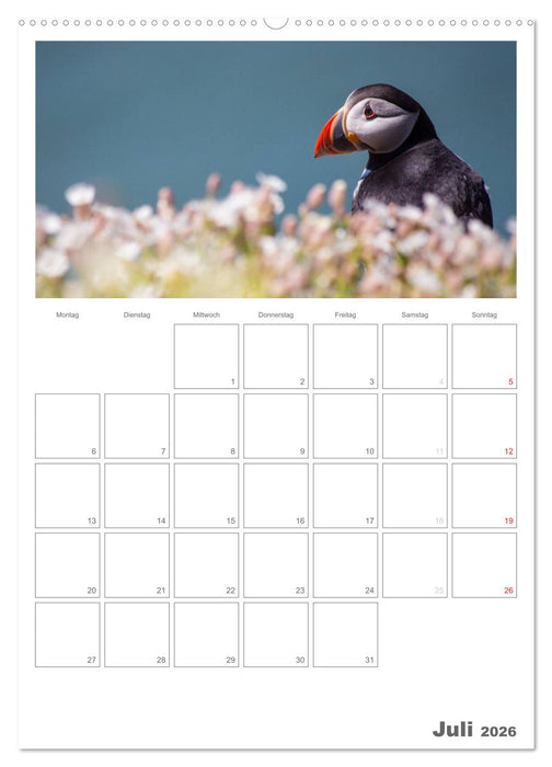 Eine Reise durch Wales (CALVENDO Premium Wandkalender 2026)