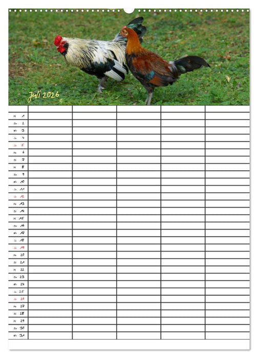 Bauernhoftiere Familienplaner (CALVENDO Premium Wandkalender 2026)