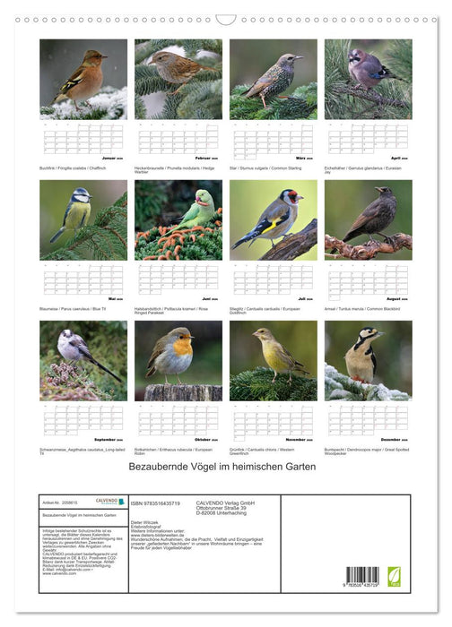 Bezaubernde Vögel im heimischen Garten (CALVENDO Wandkalender 2026)