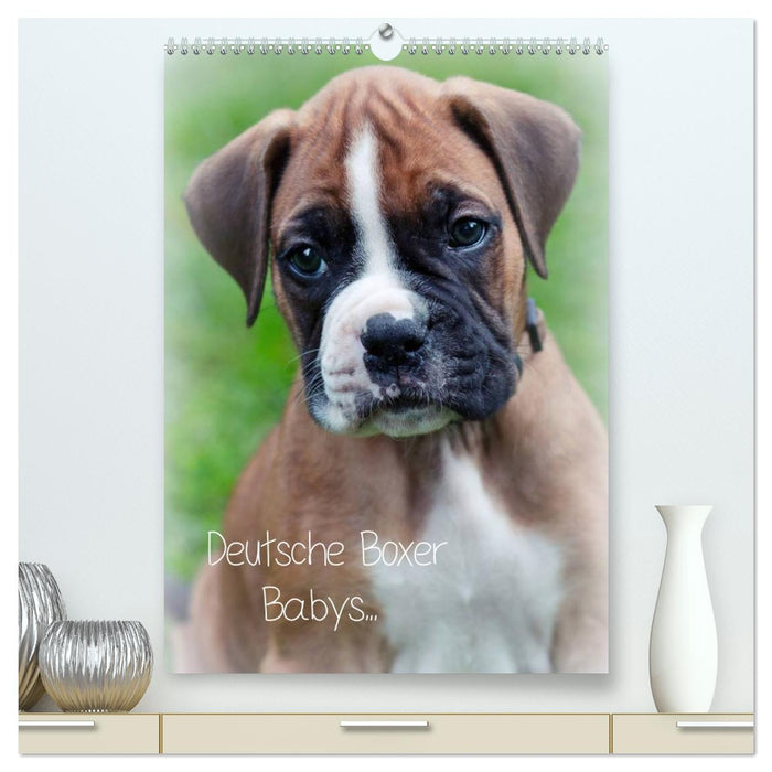 Deutsche Boxer Babys... (CALVENDO Premium Wandkalender 2026)
