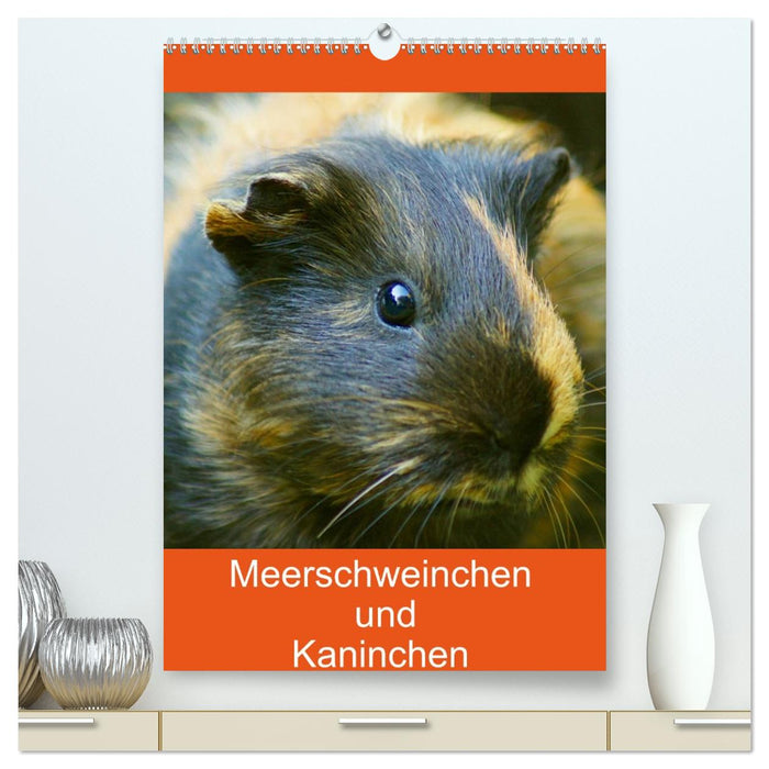 Meerschweinchen und Kaninchen Familienplaner (CALVENDO Premium Wandkalender 2026)