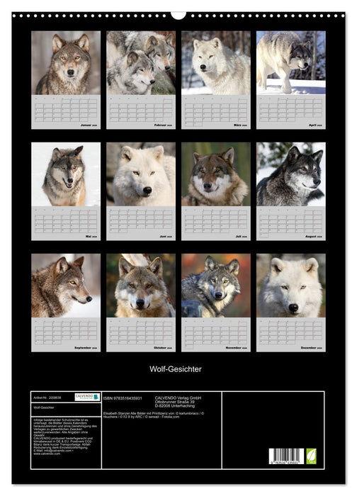 Wolf-Gesichter (CALVENDO Wandkalender 2026)