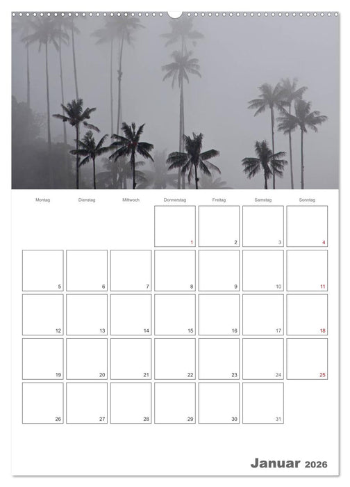 HOMMAGE AN KOLUMBIEN (CALVENDO Wandkalender 2026)