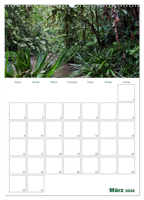 HOMMAGE AN KOLUMBIEN (CALVENDO Wandkalender 2026)